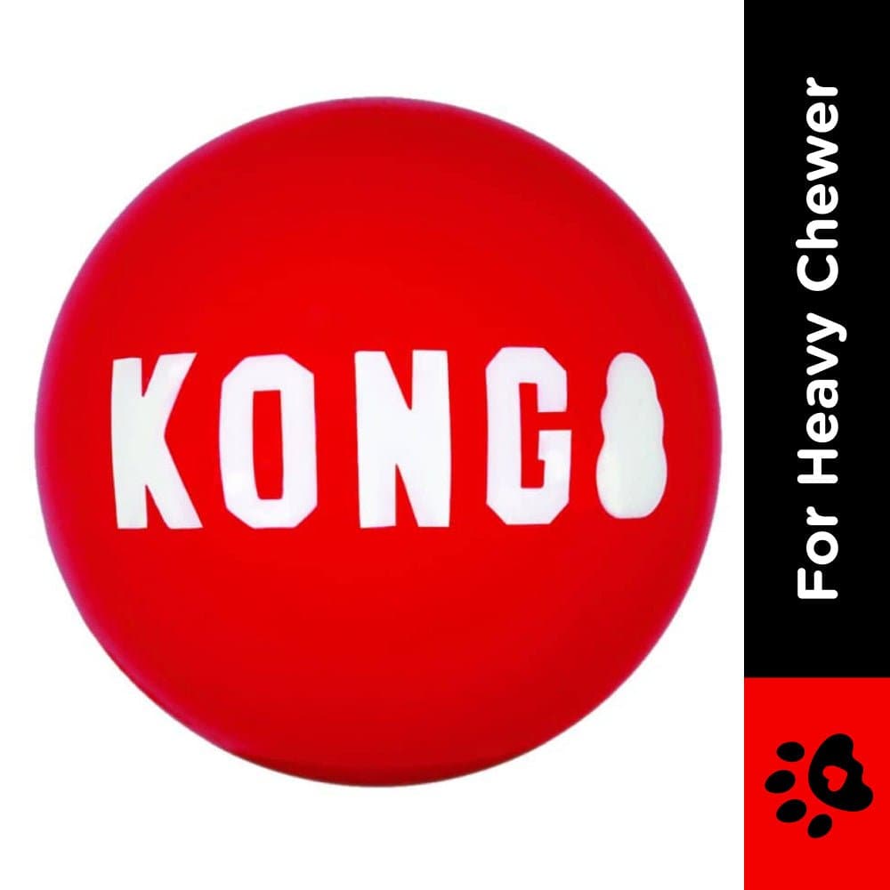 Kong Signature Ball Toy for Dogs image 2