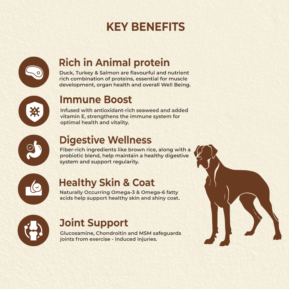Bruno's Wild Essentials Sunburn Dog Dry Food image 3