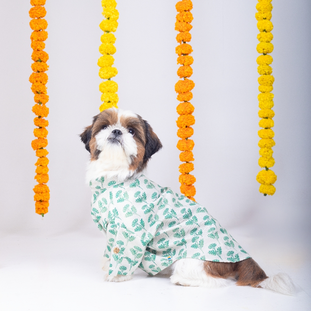 15 Furries Hariyali Kurta for Dogs image 5