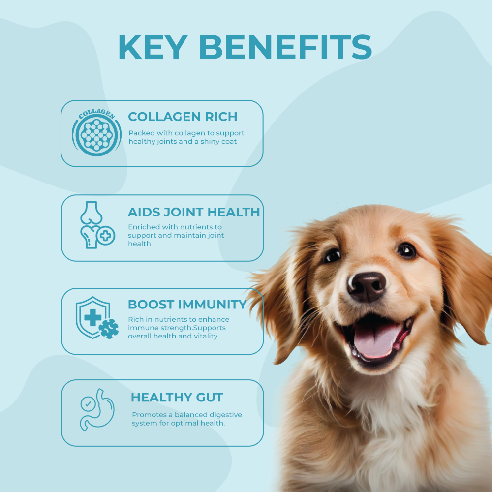 Bruno's Wild Essentials Fish Bone Broth For Dogs image 4