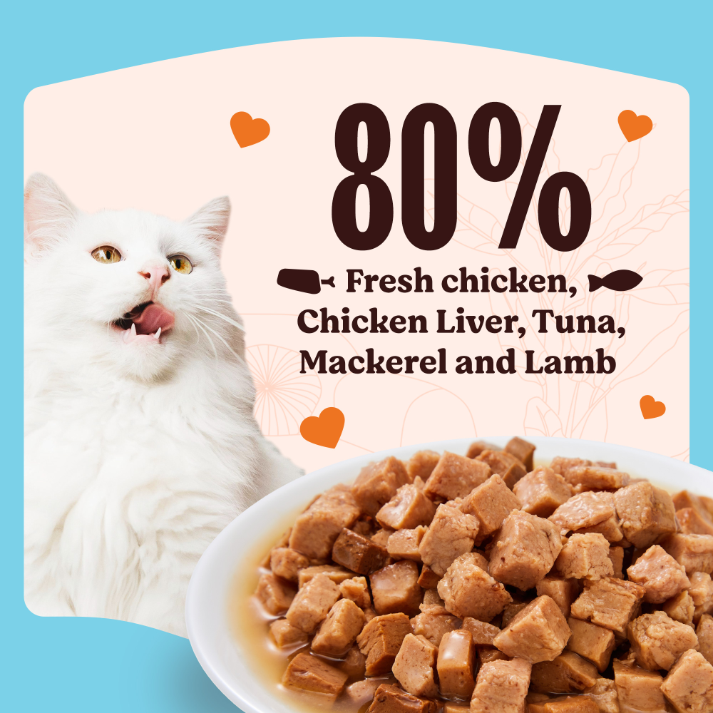 Kennel Kitchen Fish Chunks in Gravy Kitten and Adult Cat Wet Food (All Life Stage) image 3