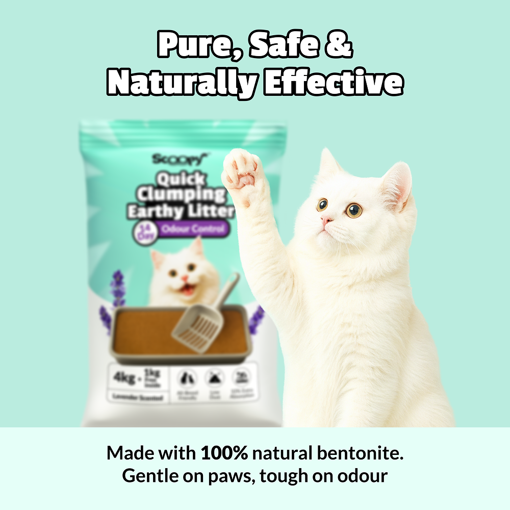 Scoopy Cat Litter | Lavender Scented | 100% Natural Indian Brown Sand image 6