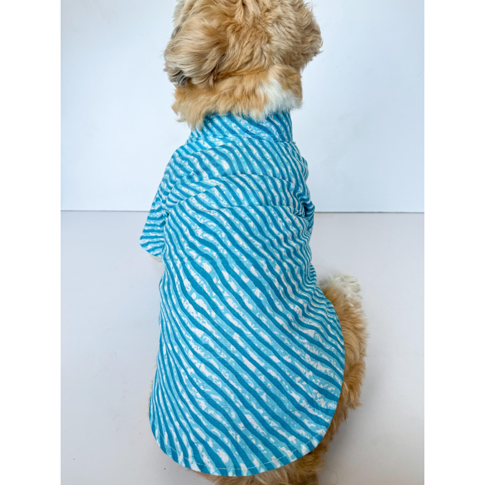 Pawgypets Lehriya Kurta for Dogs and Cats (Blue) image 5