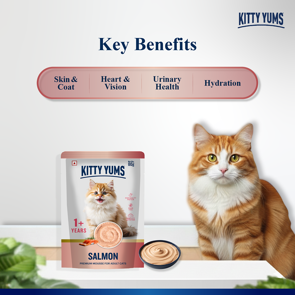 Kitty Yum Salmon Mousse Adult Cat Wet Food image 3