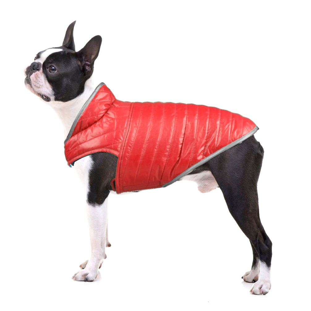 Talking Dog Club Double Trouble Reversible Jackets for Dogs (Red/Sliver) image 4