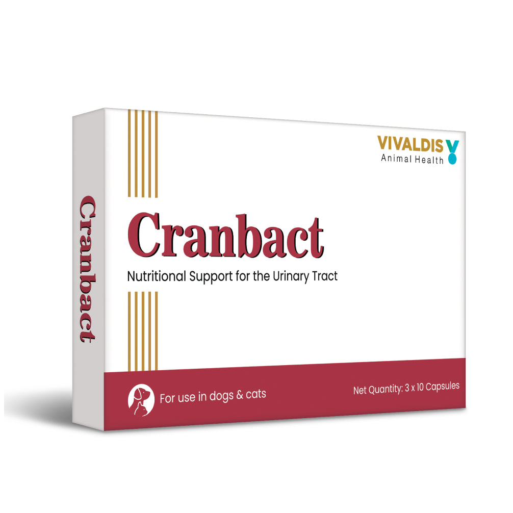 Vivaldis Cranbact Capsules for Dogs and Cats (pack of 30 capsules) image 4