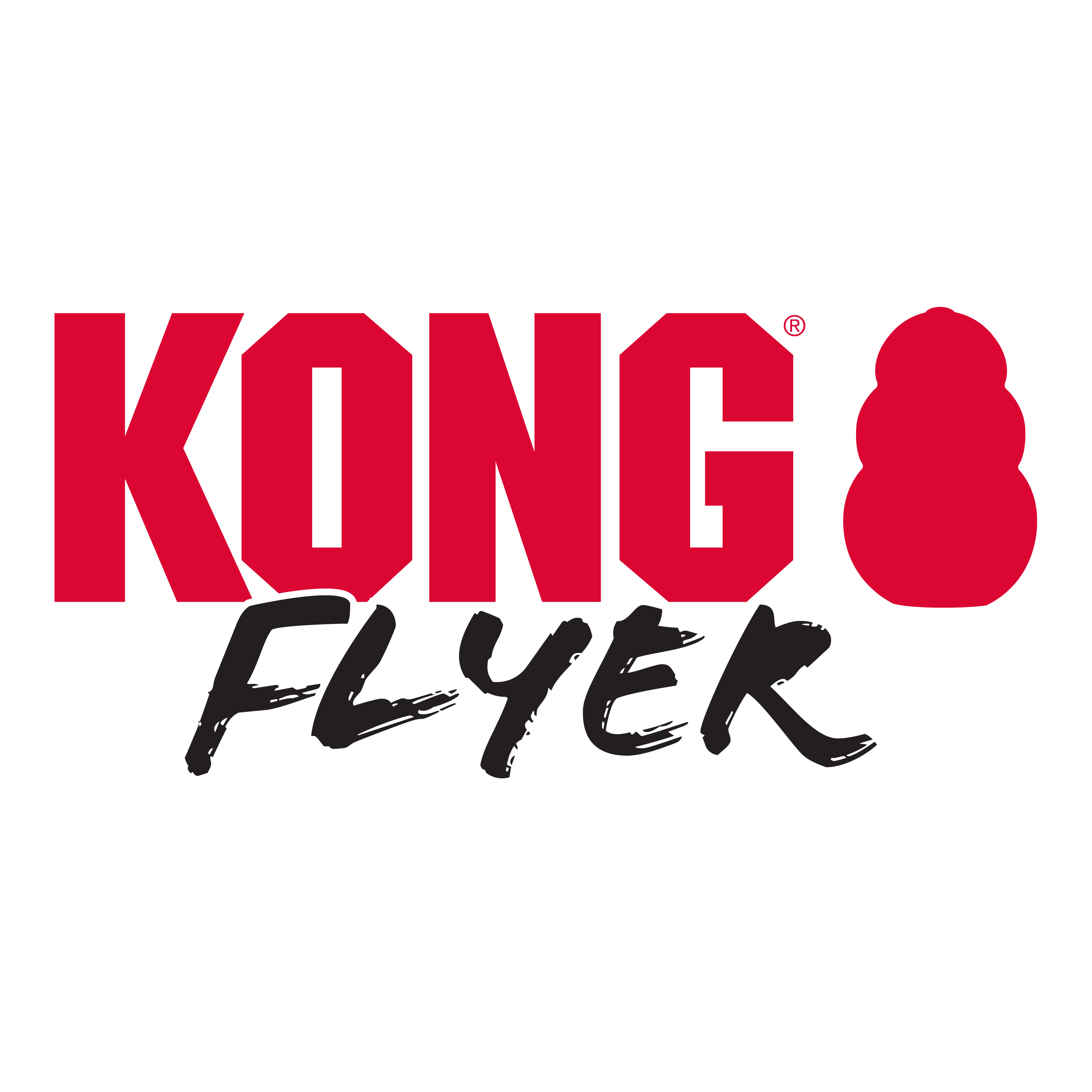 Kong Extreme Flyer Toy for Dogs (Black) image 3