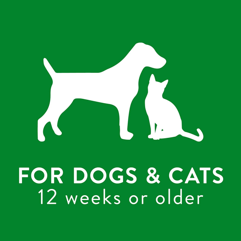 Tropiclean Lime & Coconut Shed Control Shampoo for Dogs and Cats image 7
