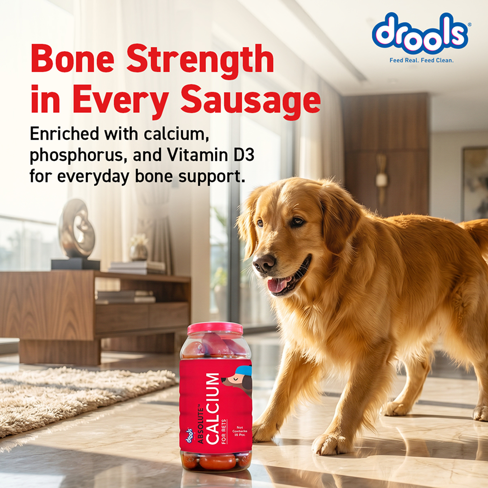 Drools Absolute Calcium Sausage Supplement for Dogs image 3