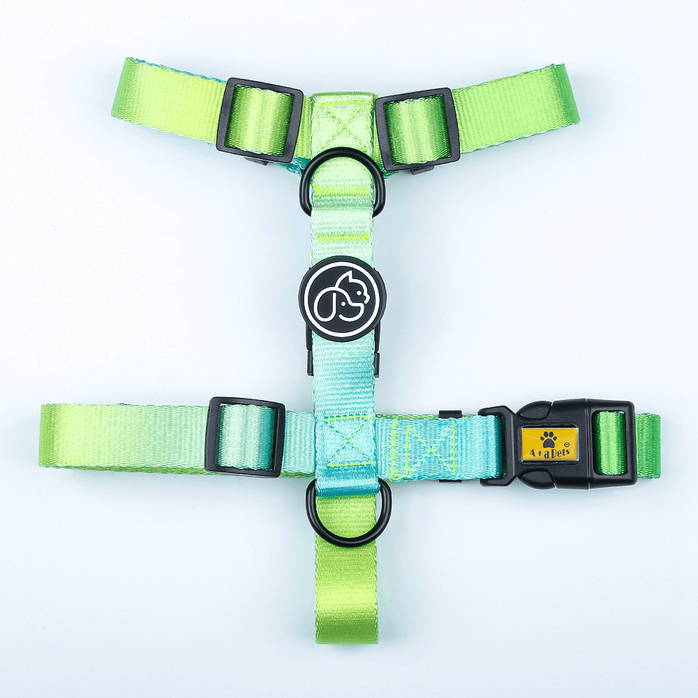 A Plus A Pets Skin Friendly Gradient Design Harness for Dogs and Cats (Green) image 1