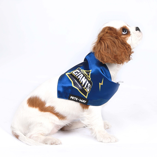 Pets Way Gujarat Giants IPL Bandana for Dogs and Cats (Blue) | Indian Pet League