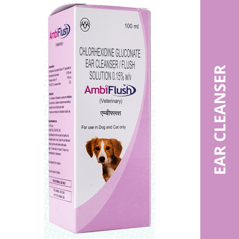 Intas Ambiflush Ear Cleanser for Dogs and Cats (100ml) image 1