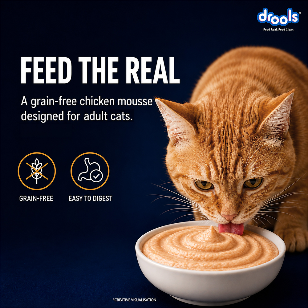 Drools Chicken Mousse Adult Cat Wet Food image 6