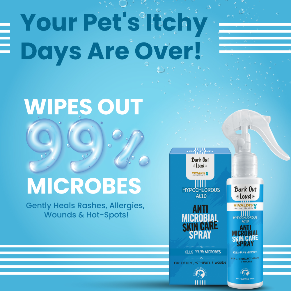 Bark Out Loud Anti Microbial Skin Spray for Dogs and Cats image 3