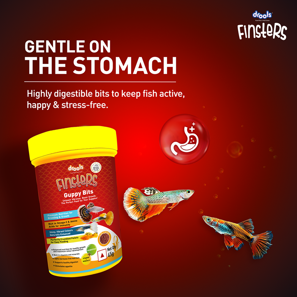 Drools Finsters Guppy Bits Fish Food image 8