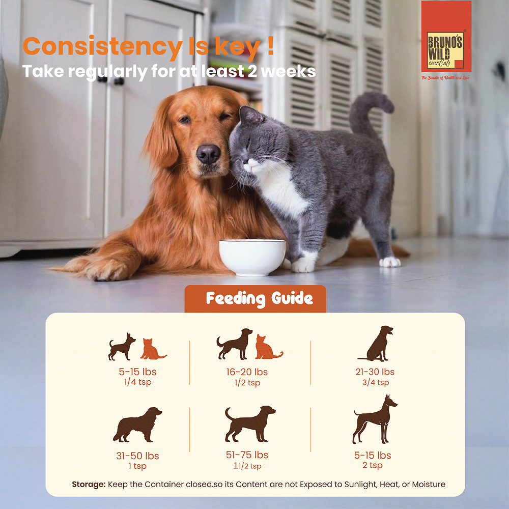 Bruno's Wild Essentials Sardine Oil for Dogs and Cats image 5