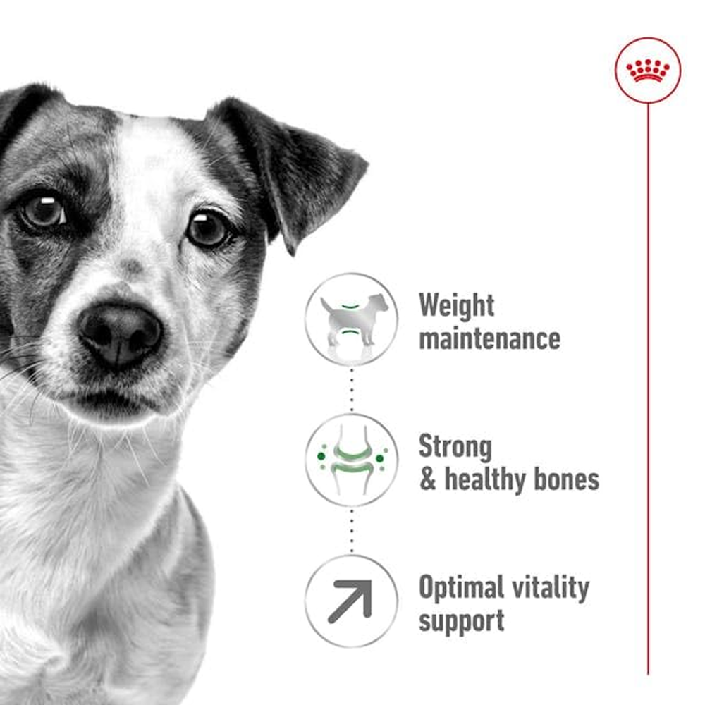 Royal Canin Mini Adult Dog Dry Food with 8+ Years of age image 3