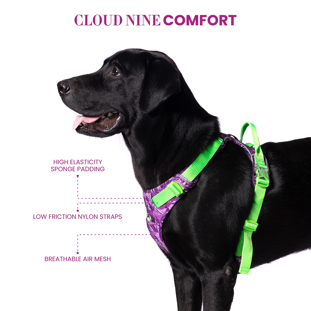 Truelove No Pull Special Edition Harness for Dogs (Camouflage Purple) image 5