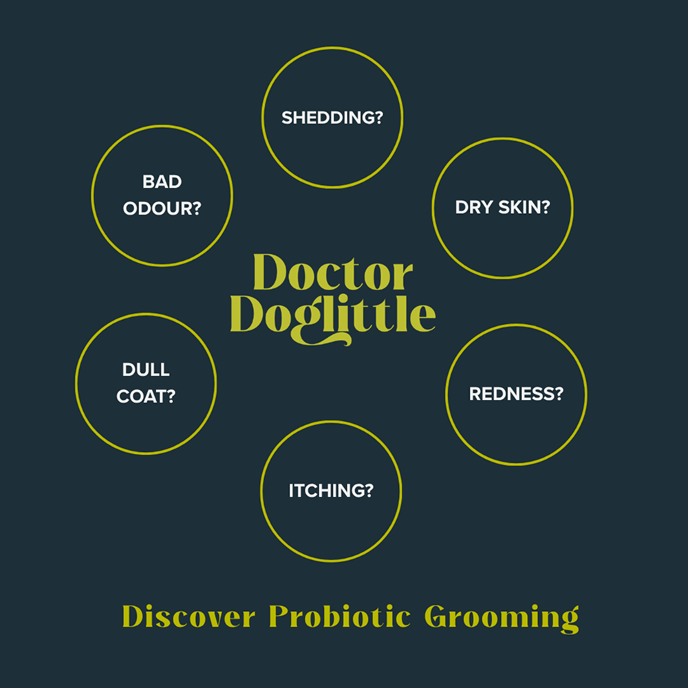 Doctor Doglittle Probiotic Coat Recovery 2 in 1 Shampoo Conditioner for Dogs image 9