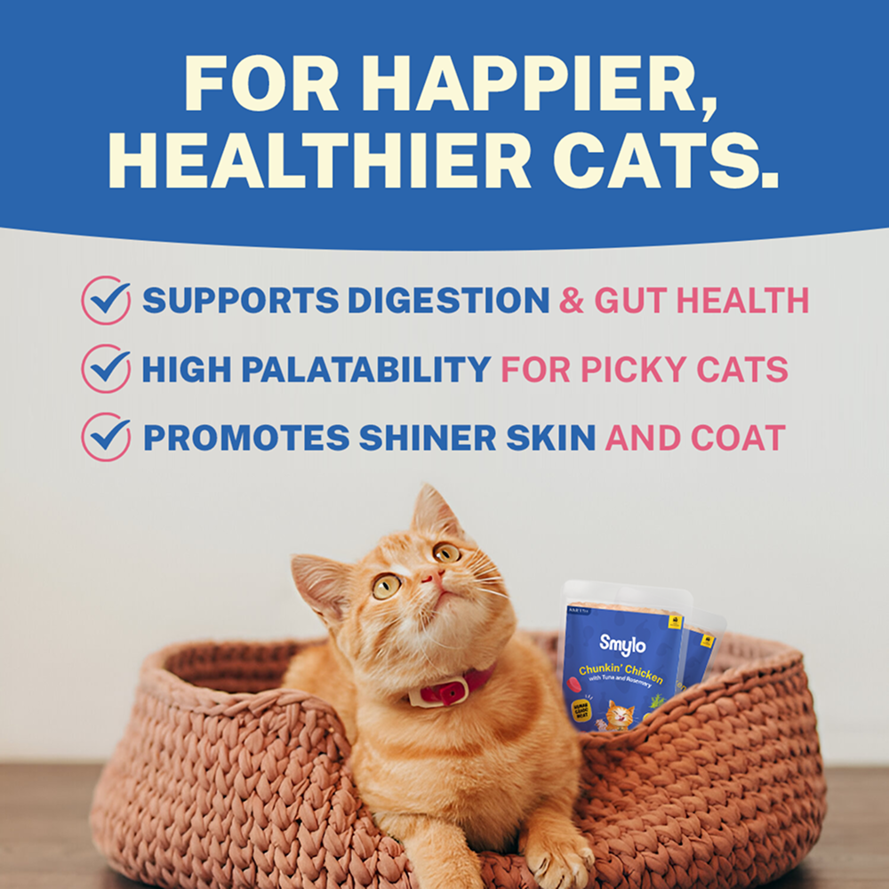 Smylo Adult Chicken Tuna & Rosemary, Fresh & No-Preservative Wet Cat Food image 8