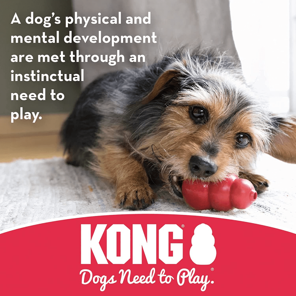 Kong Binkie Puppy Chew Toy for Dogs (Pink) image 6