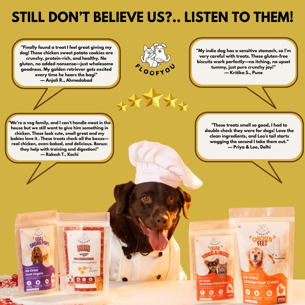 Floofyou Chicken Sweet Potato Oven Baked Cookie Dog Treats image 6