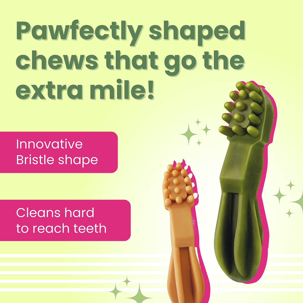 Bark Out Loud by Vivaldis Grain Free Chicken Dental Chews Dog Treats image 4