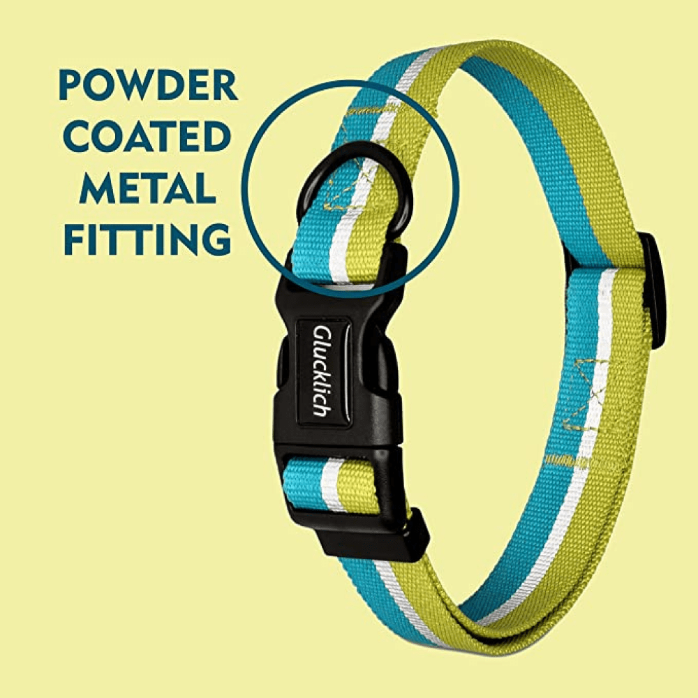 Glucklich Everyday Reflective Collar for Dogs (Mint Green) image 2