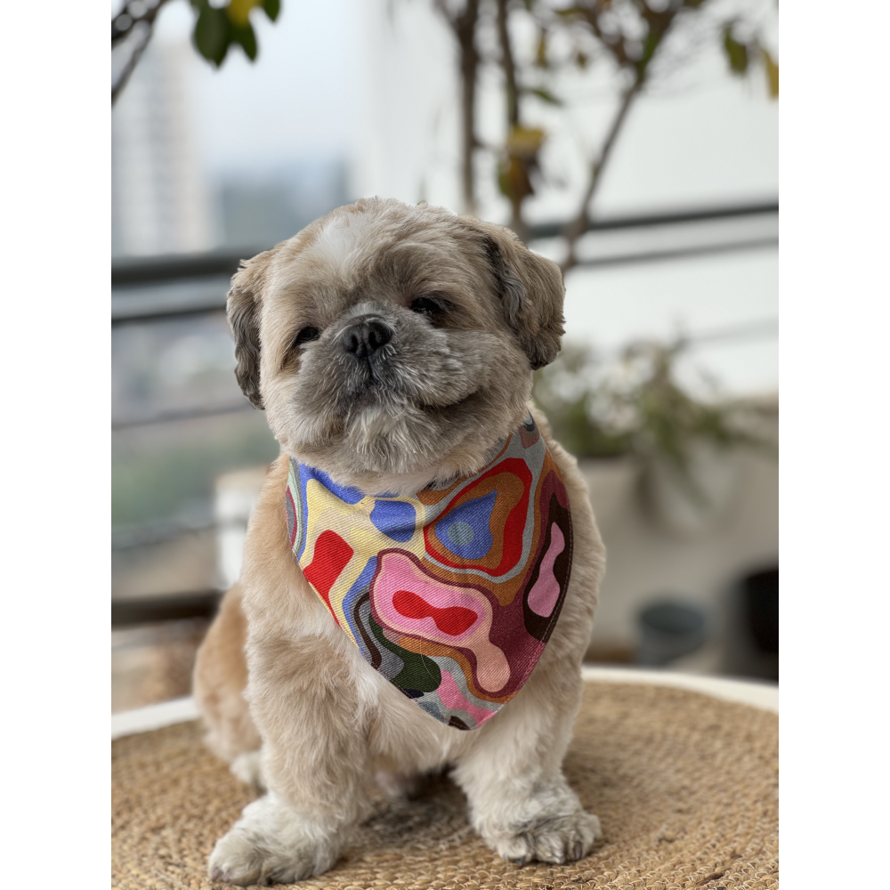 Pawgypets Bandana for Dogs and Cats (Multi Color) image 2