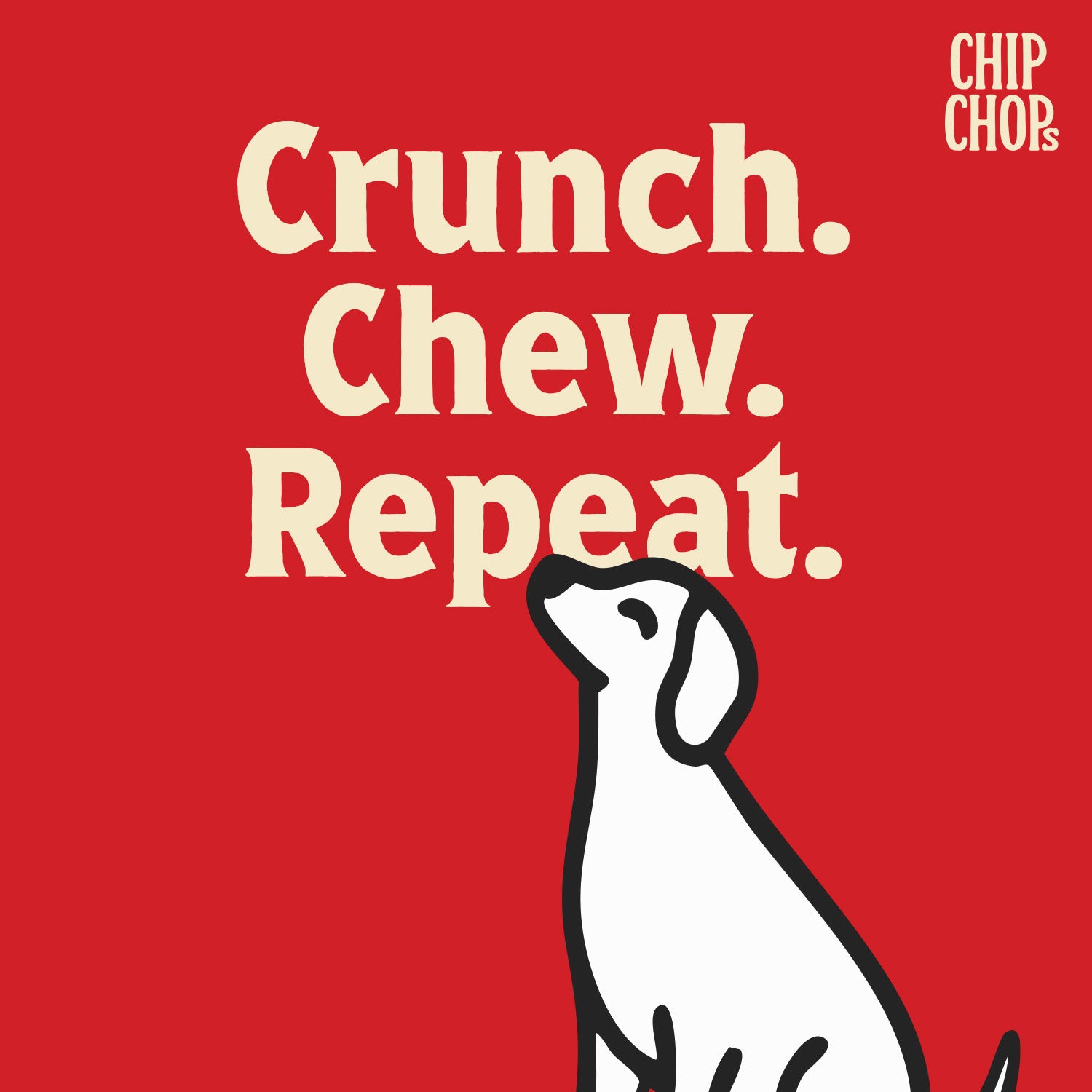 Chip Chops Biscuit Twined with Chicken Dog Treats image 4