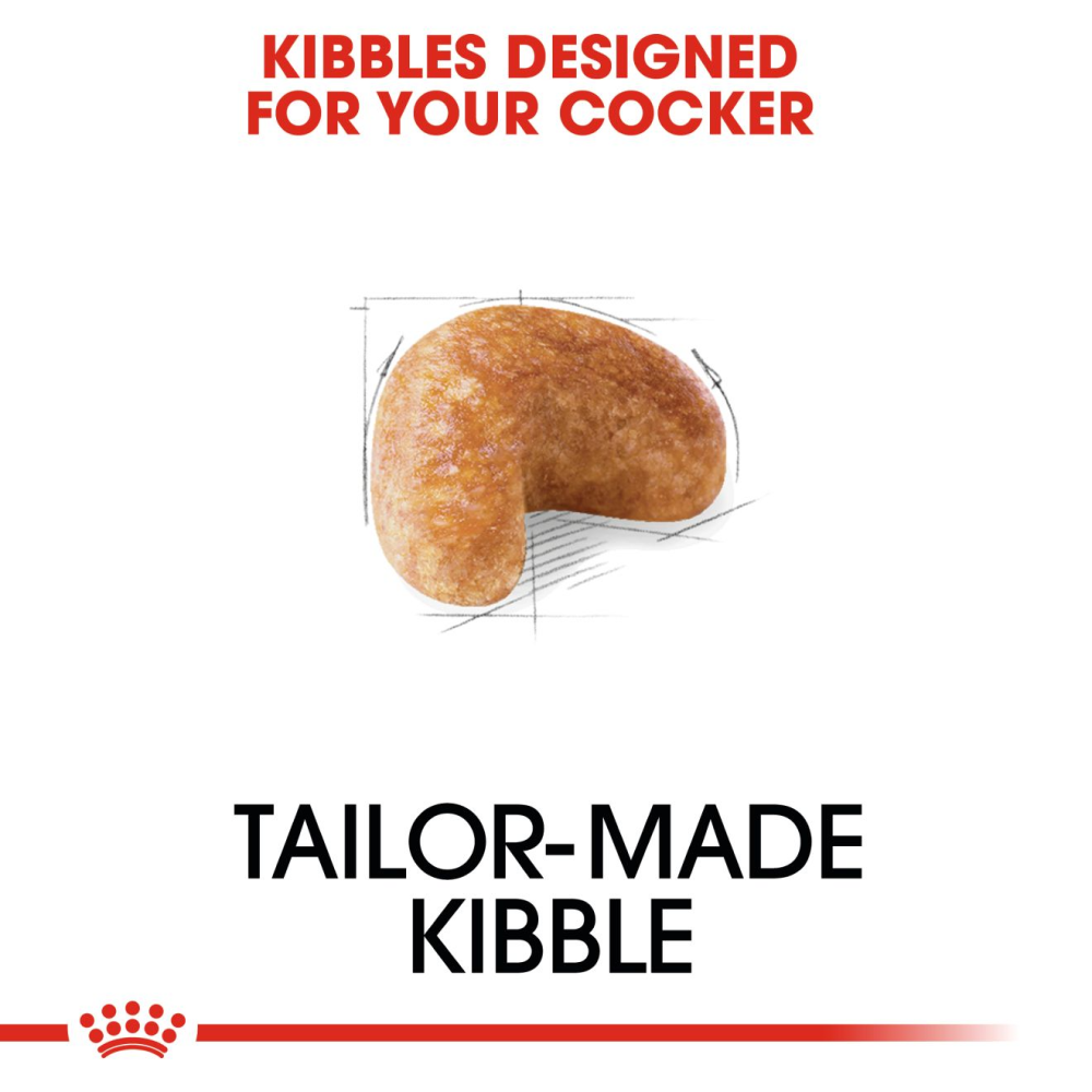 Royal Canin Cocker Adult Dog Dry Food image 4