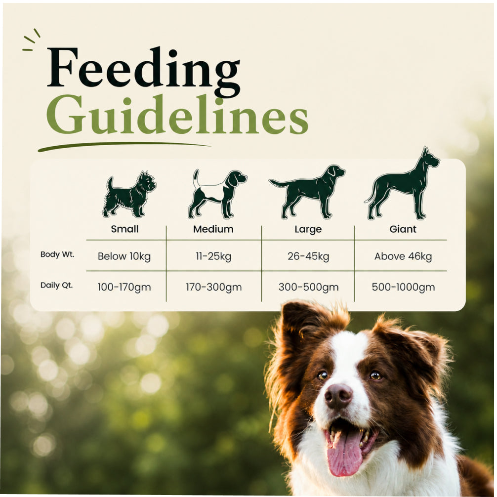 Canine Creek Ultra Premium Adult Dog Dry Food image 9