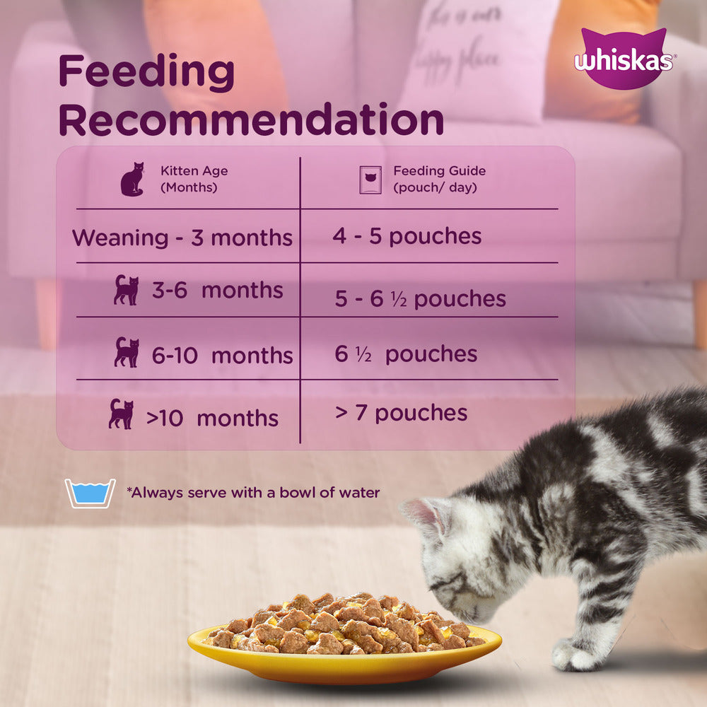 Whiskas Tuna in Jelly Kitten (2-12 Months) Cat Wet Food image 4