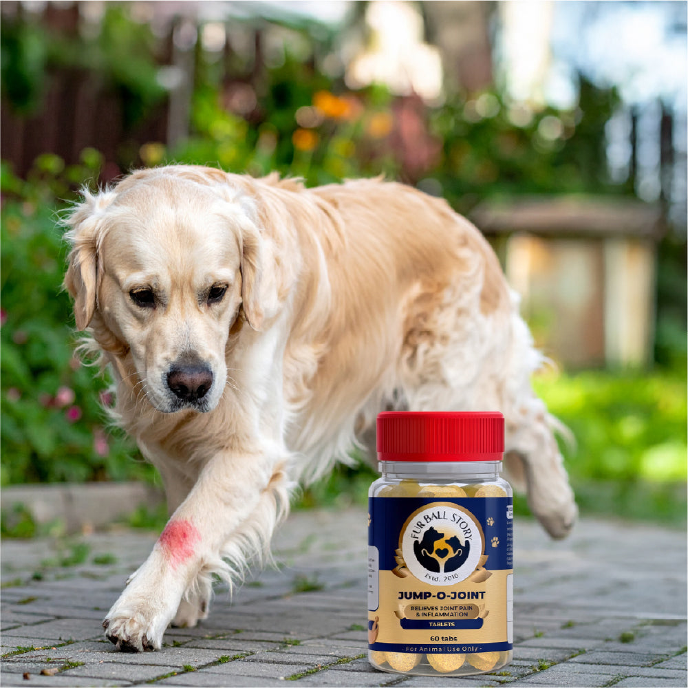 FurBall Story Jump O Joint Care tablets for Dogs and Cats image 8