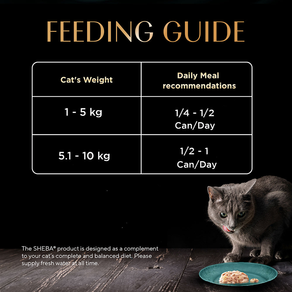 Sheba Tuna Fillet & Whole Prawns in Gravy Premium Cat Wet Food image 10