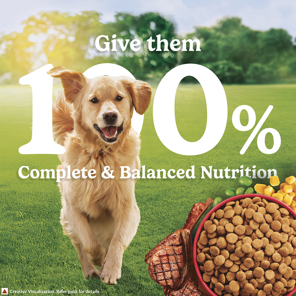 Purina Friskies Meat Adult Dog Dry Food image 6