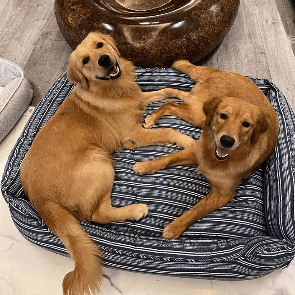Pawpourri Striped Cuddler Bed for Dogs and Cats (Blue Stripe) image 2