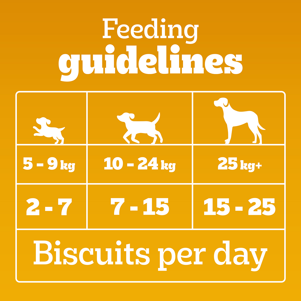 Pedigree Lamb Flavour Biscrok Biscuits Dog Treats (900g) image 7