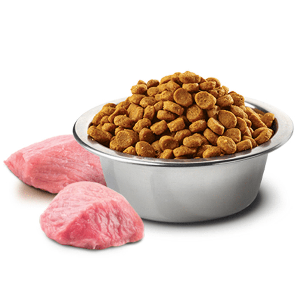 Farmina N&D Chicken & Pomegranate Adult Medium Maxi Dog Dry Food image 3