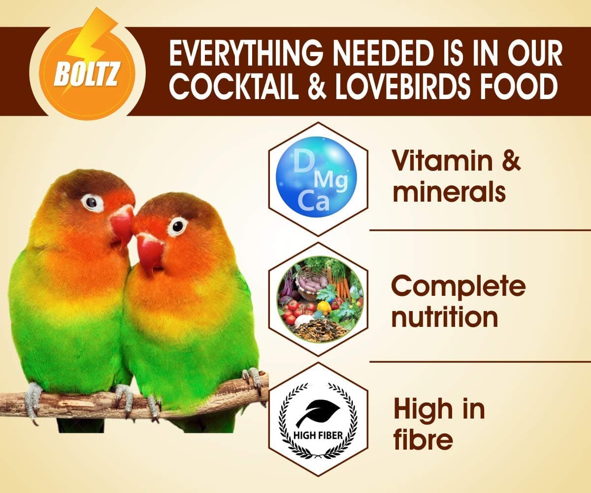 Boltz Cockatiel & Lovebird Food image 5