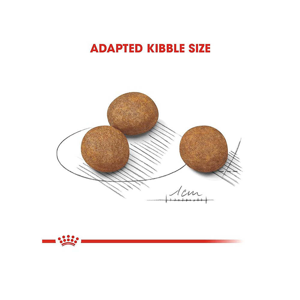 Royal Canin Maxi Puppy Dog Dry Food image 4