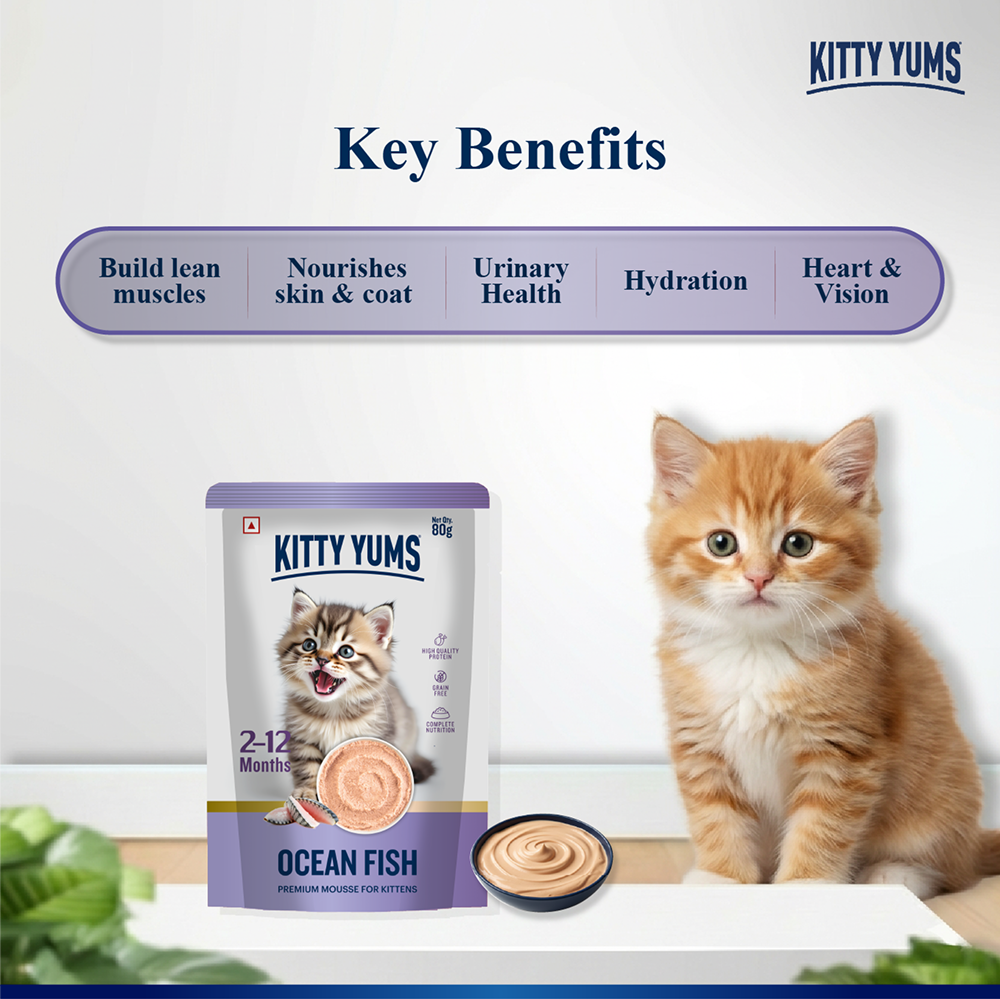 Kitty Yum Ocean Fish Mousse Kitten Cat Wet Food image 3