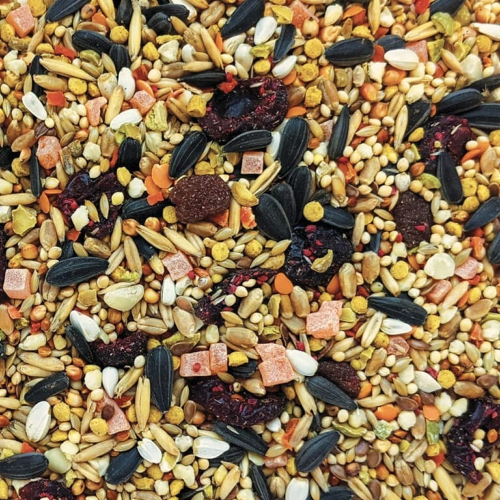 Hagen Tropican Hari Gourmet Seed Fruit Veg Mix image 4