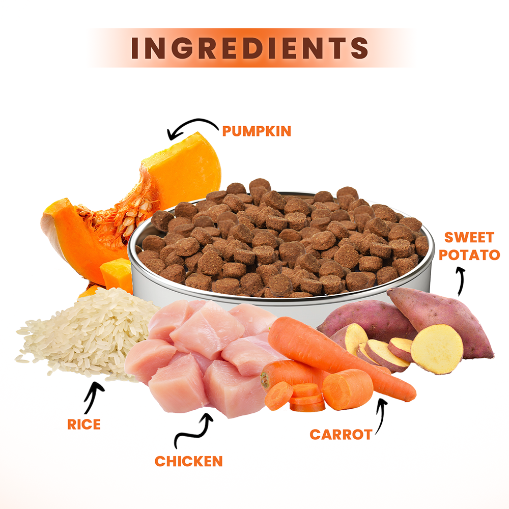 Lickicious Premium Chicken and Vegetable Adult Dog Dry Food image 3