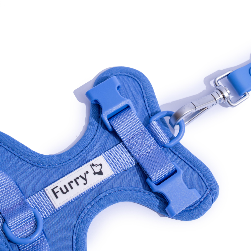 Furry & Co Bold Harness for Dogs (Everest Blue) image 2