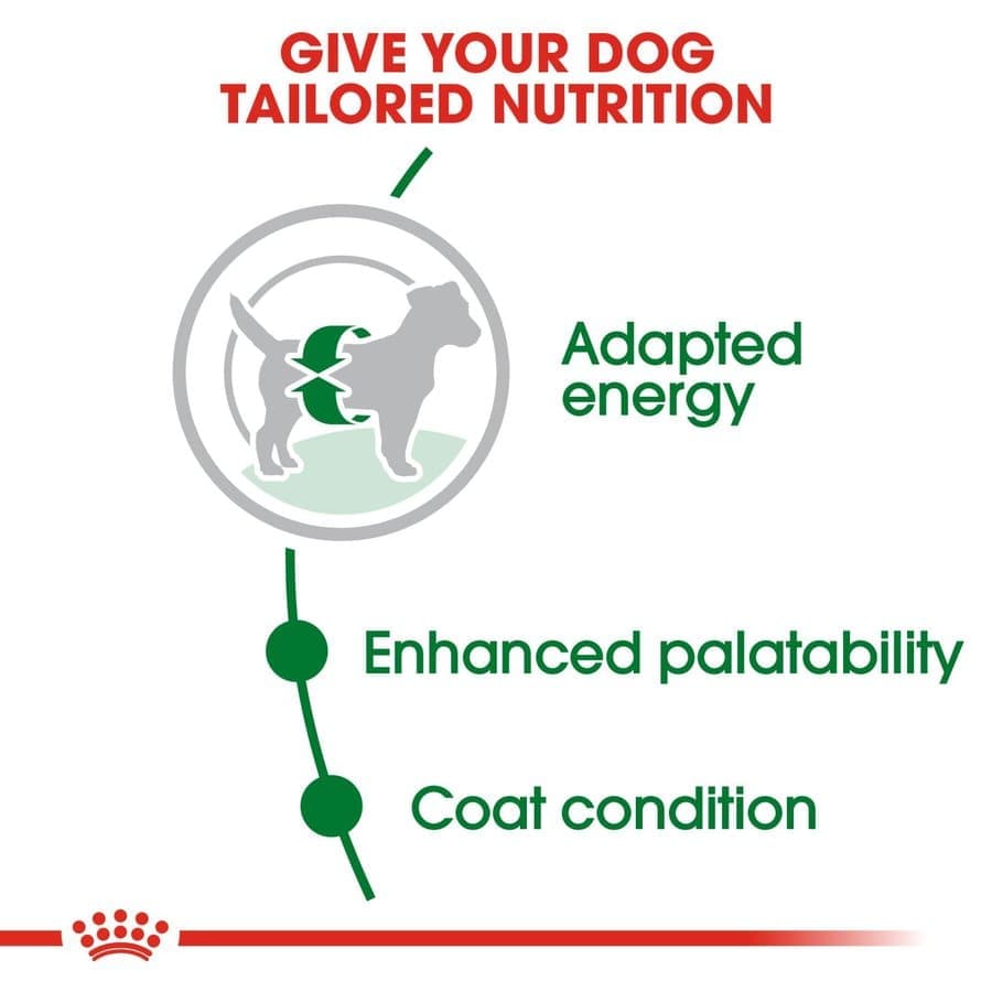Royal Canin Mini Adult Dog Dry Food image 4