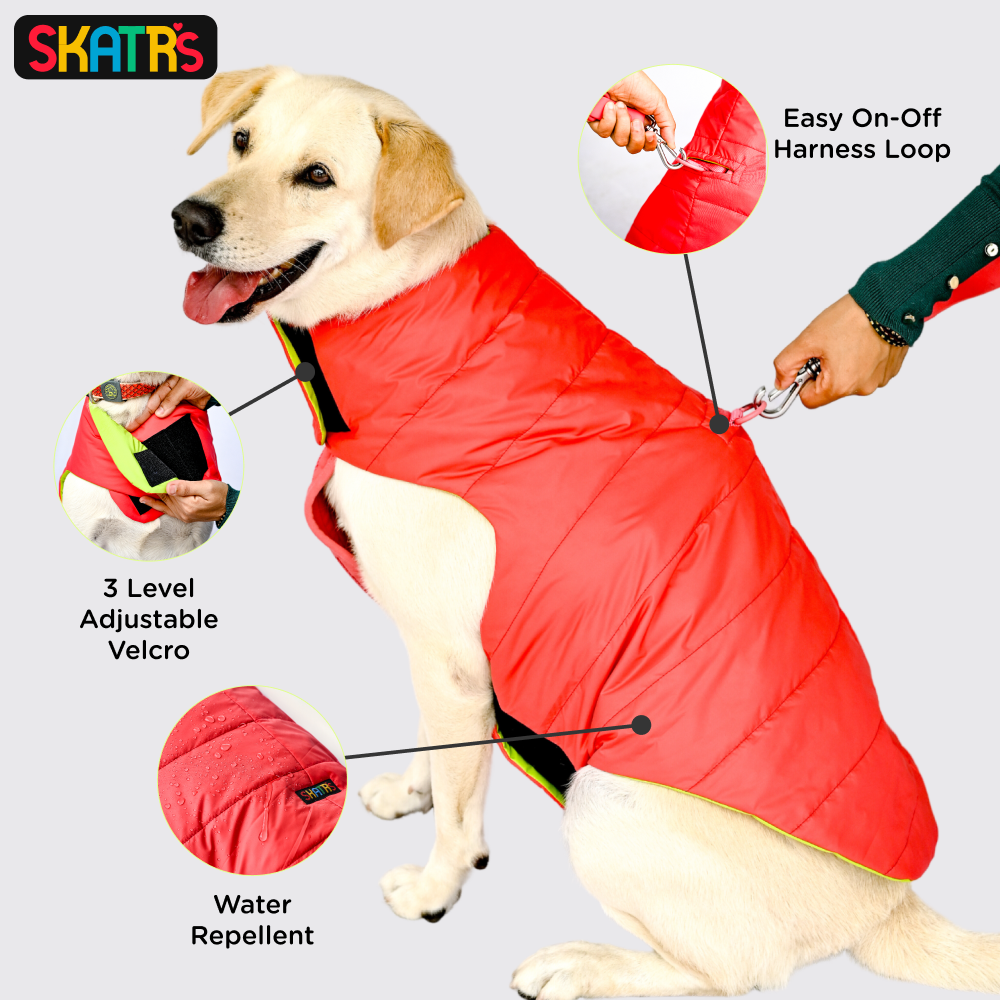 Skatrs Coral Red Puffer Reversible Jacket for Dogs and Cats | With Adjustable Baby Velcro image 4