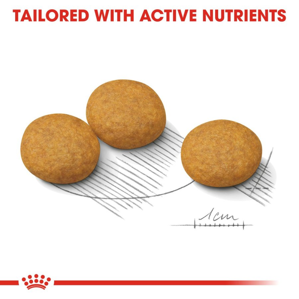 Royal Canin Derma Comfort Medium Adult Dog Dry Food image 3