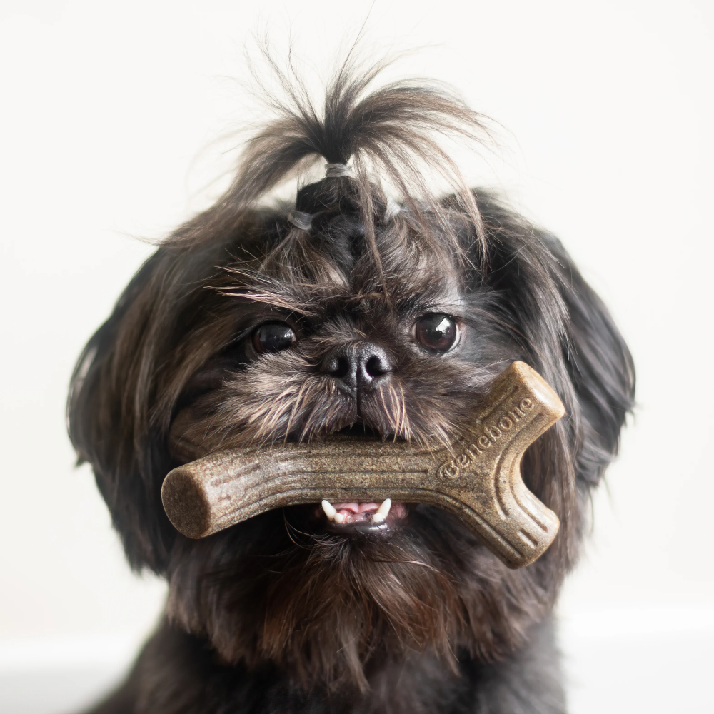 Benebone Bacon Flavored Maplestick and Zaggler Chew Toys for Dogs image 5