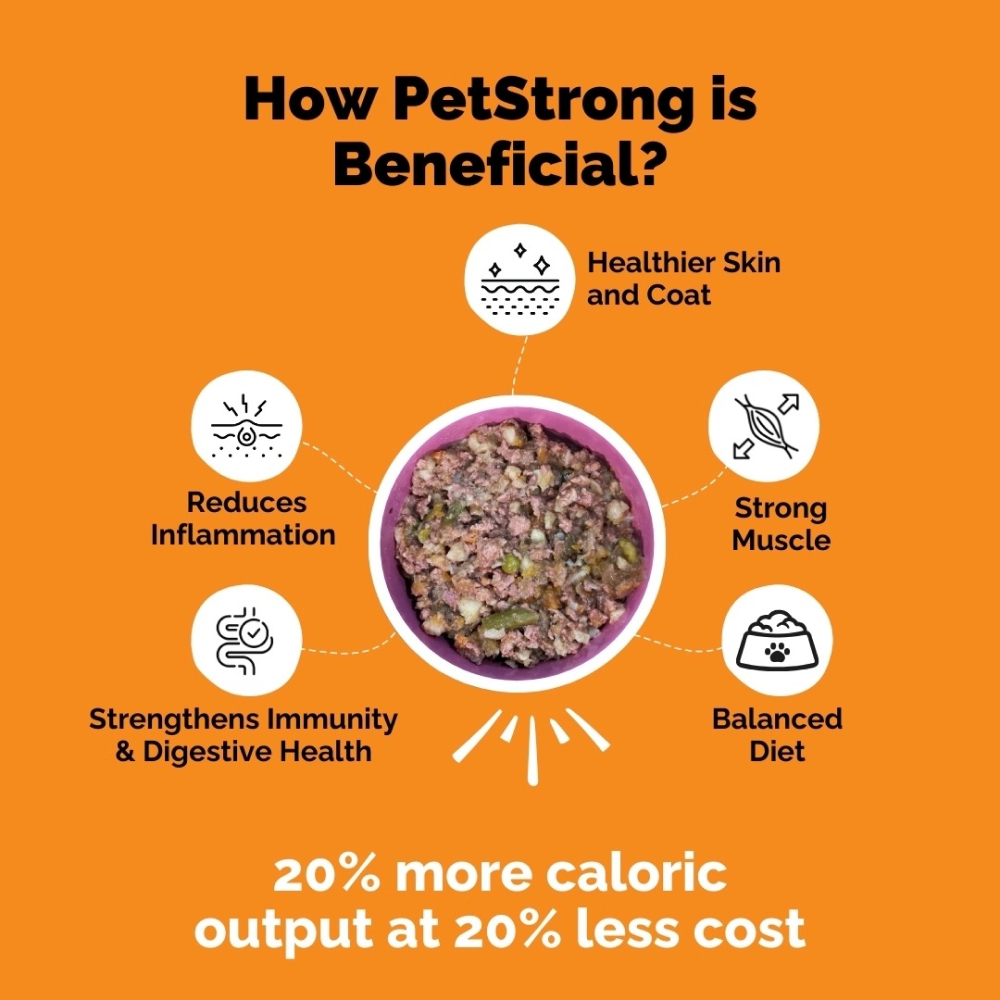 PetStrong Fresh Food Variety Pack Combo for Dogs image 8